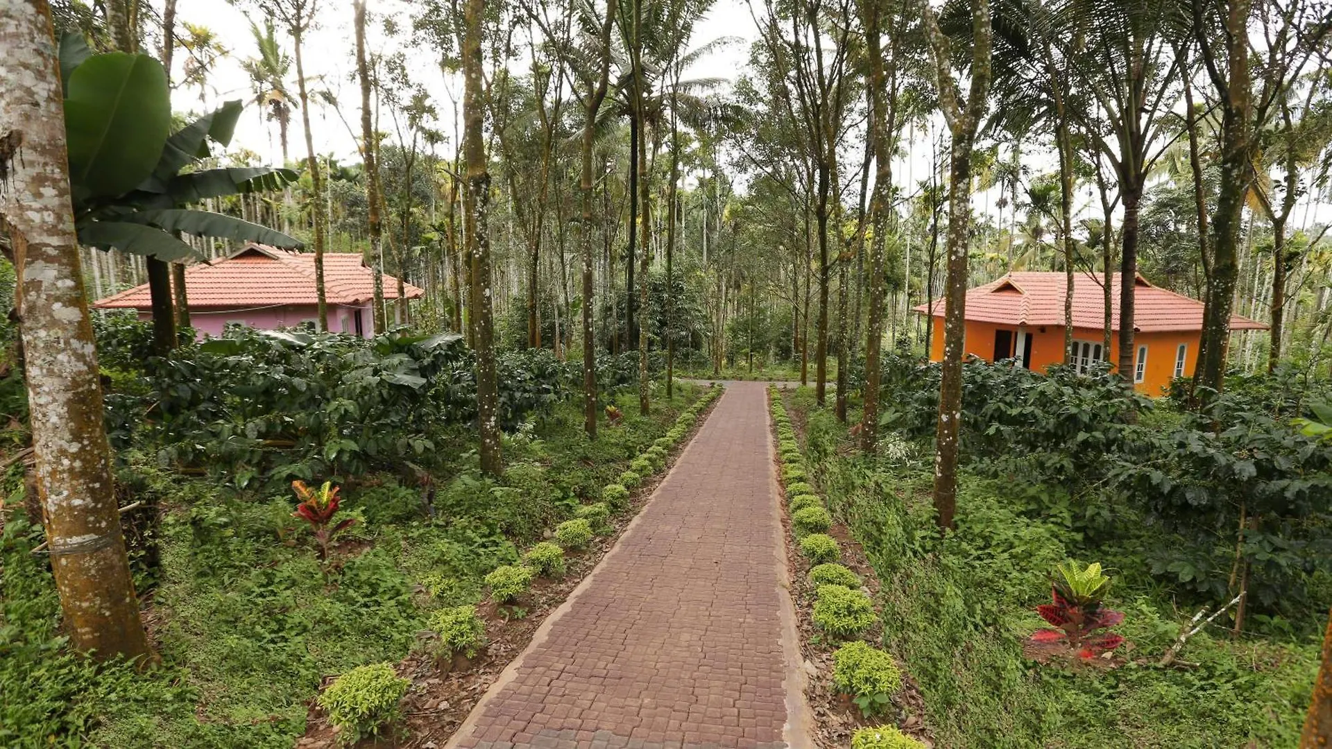 Himadri Retreat Wayanad Daire Kaniyāmbetta Pansiyon