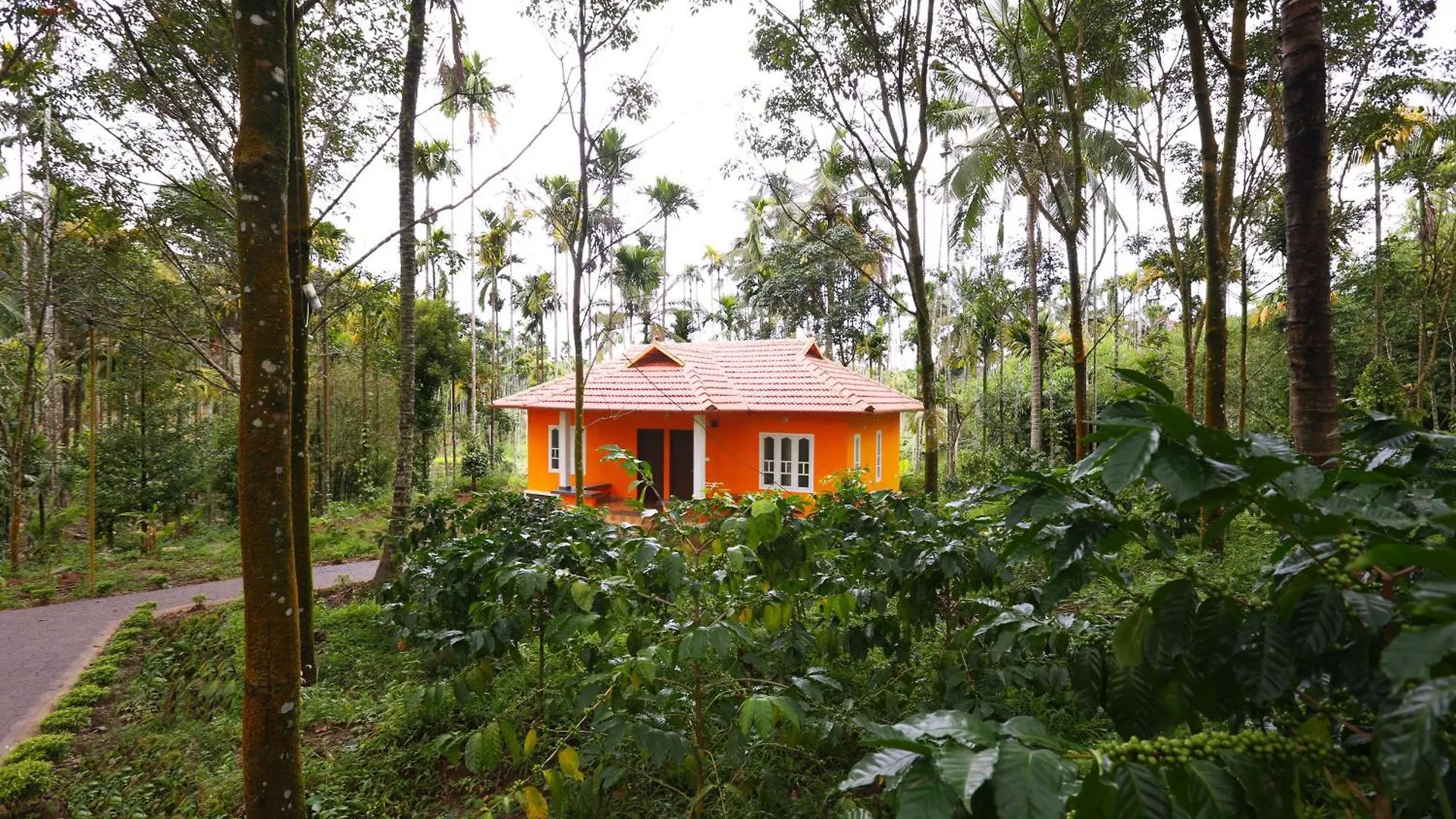 Pansiyon Himadri Retreat Wayanad Daire Kaniyāmbetta