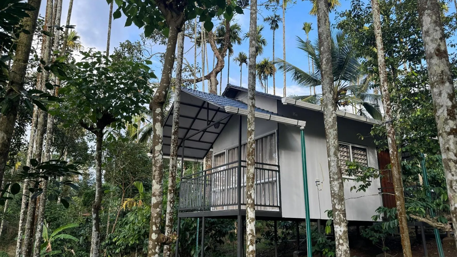 Himadri Retreat Wayanad Daire Kaniyāmbetta Pansiyon
