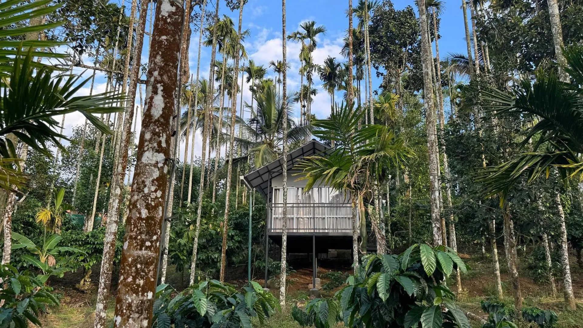 Himadri Retreat Wayanad Daire Kaniyāmbetta Hindistan